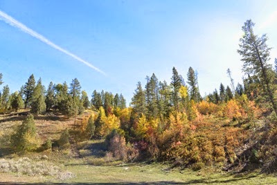 DSC_8987