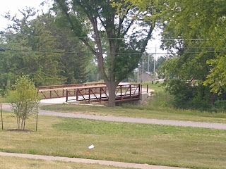 new bridge, old trees
