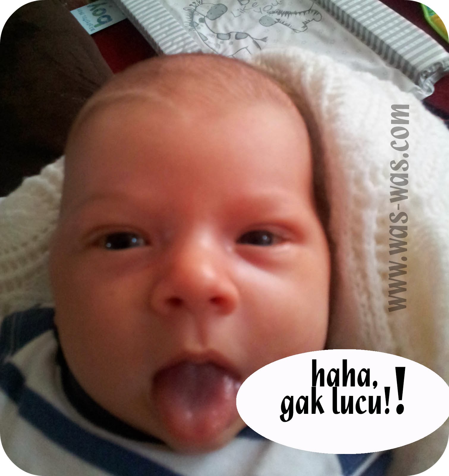 Gambar Meme Lucu Anak Bayi Keren Dan Terbaru DP BBM Lucu Kocak