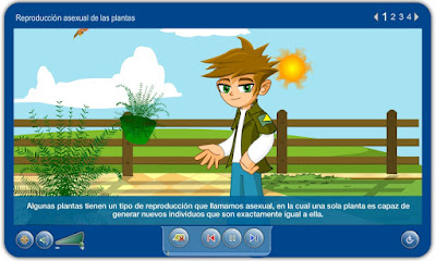 http://repositorio.educa.jccm.es/portal/odes/conocimiento_del_medio/las_plantas/contenido/cm07_oa05_es/index.html