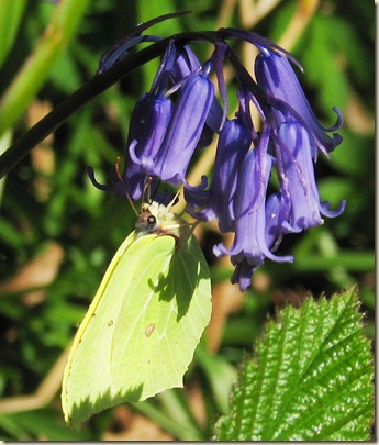 20110410 BHW & SV 025