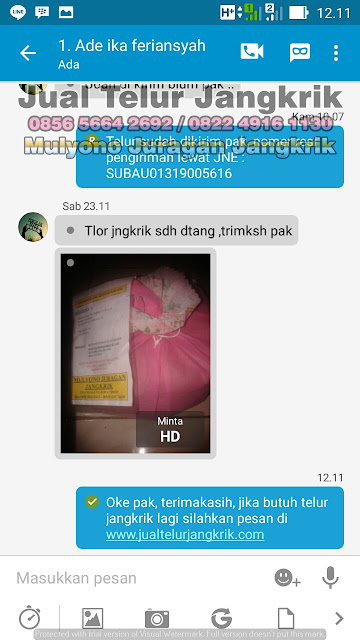 Part 5 Testimoni Jualtelurjangkrik.com Silahkan Beli Telur Jangkrik Disini