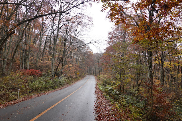 鳥取県道45号倉吉江府溝口線（大山環状道路）