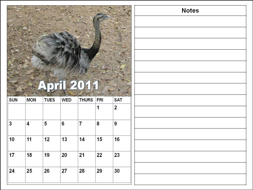 blank calendars 2011 to print. Blank Calendar 2011