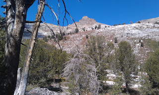 Lamoille Canyon