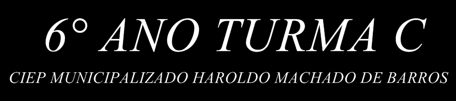 6° ANO TURMA C