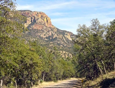 Chiricahuas2