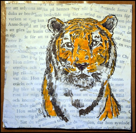 Tiger 7