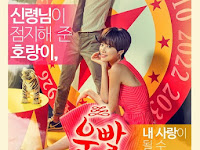 Download Drama Korea Lucky Romance (2016) Subtitle Indonesia