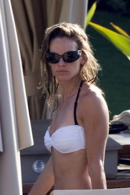 Hilary Swank hot