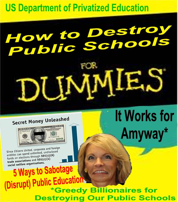 Image result for betsy devos 's voucher schools