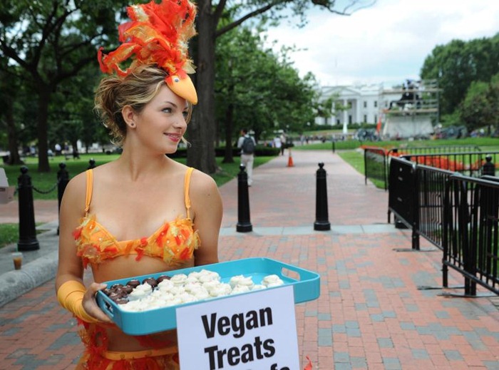 peta-rally-washington (9)