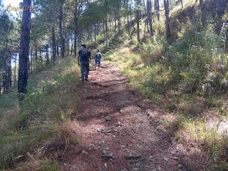 Pinoy Solo HIker - Mt. Mangayew