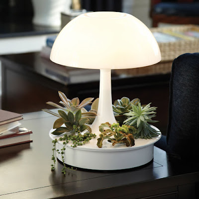 Ambienta Living Table Lamp Is Multi-Function Table Lamp With Indoor Planter And Unique Decorative Lighting