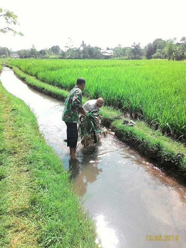 Babinsa Koramil 04/Bojonggede Maksimalkan Pendampingan Petani