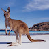 Sísmo de 6,3 grados sacude el sur de las Islas Salomón, Australia