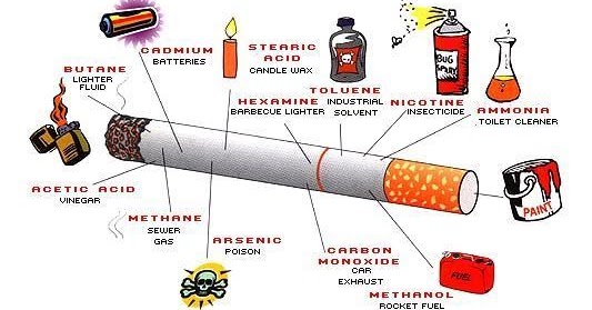 Titian Ilmu: Bahaya Rokok