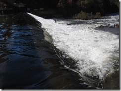 bIMG_5976