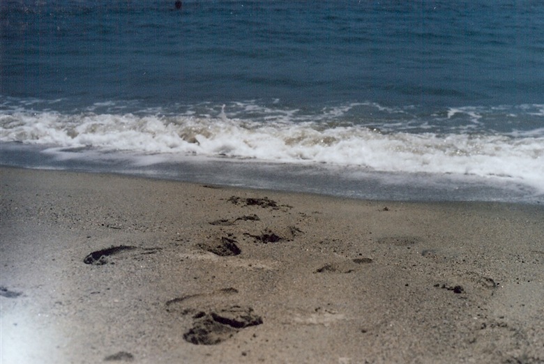 scan0001b