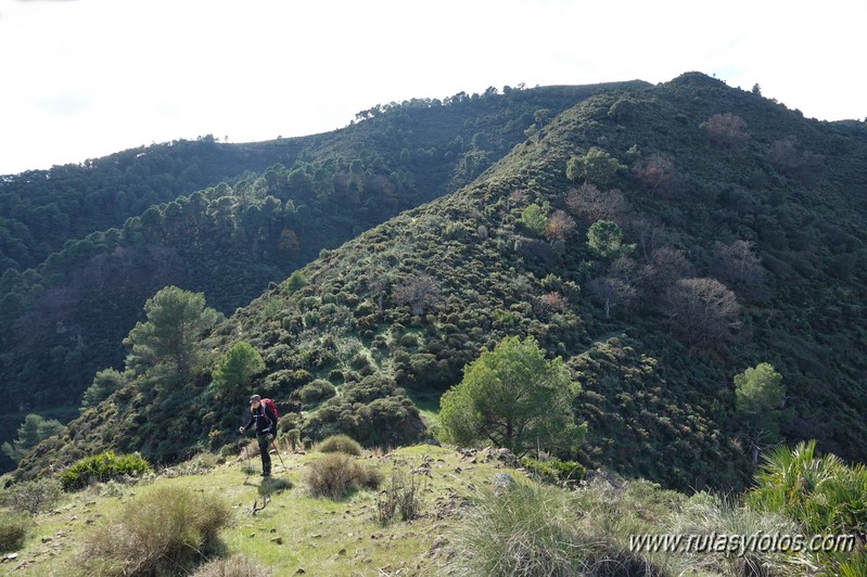 Sendero Río de los Horcajos