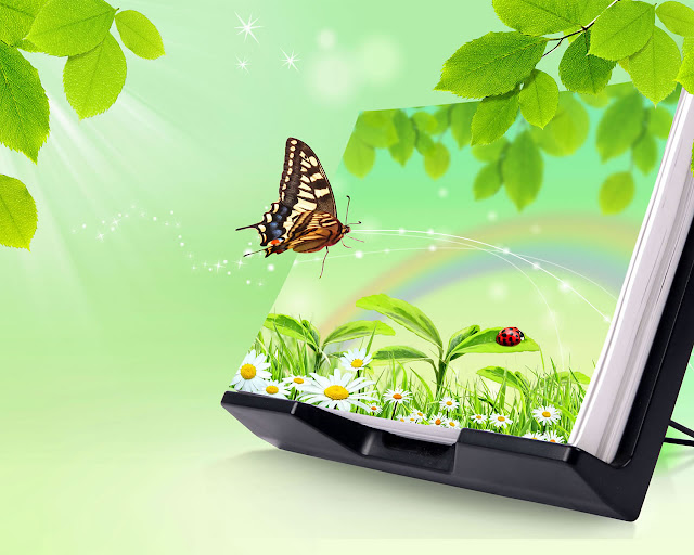 Butterfly 3D Nature Wallpaper