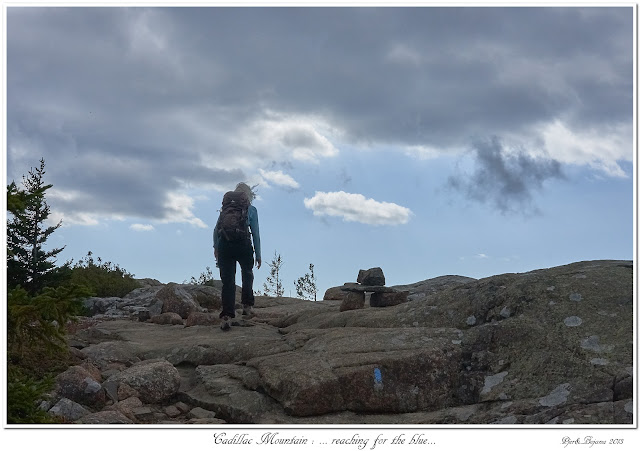 Cadillac Mountain: ... reaching for the blue...