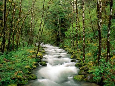 Amazing And Beautiful Digital Photos Of Rivers And Creeks Seen On www.coolpicturegallery.us