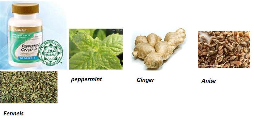 Blossom Mommy: Kelebihan dan Kebaikan Peppermint Ginger 