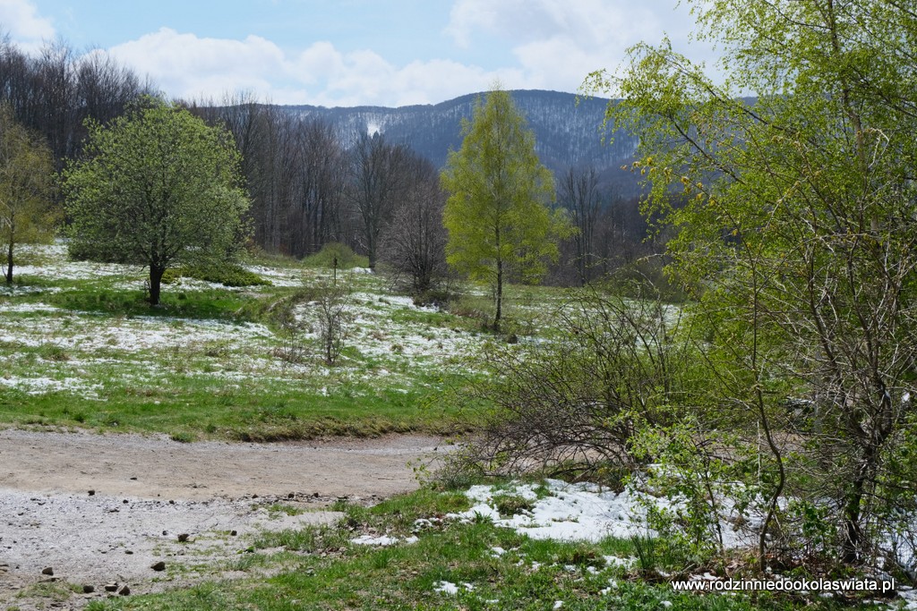 Najkrótszy-szlak-na-Połoninę-Wetlińską