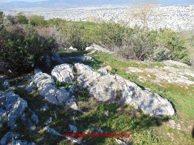 Θρόνος του Δία, Φιλοθέη, Τουρκοβούνια