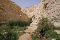Parque Nacional de Ein Avdat