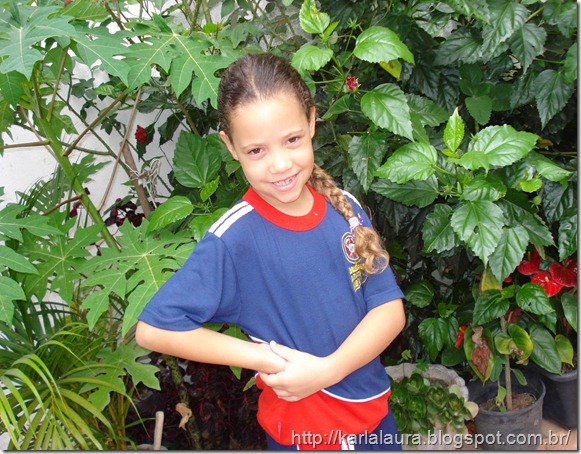 Imagem6-001