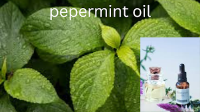 Peppermint Essential Oil: