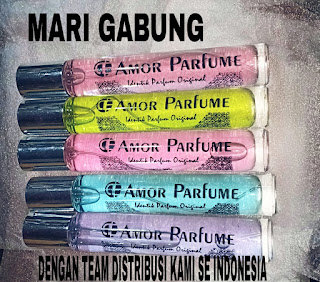 peluang distributor amor parfume
