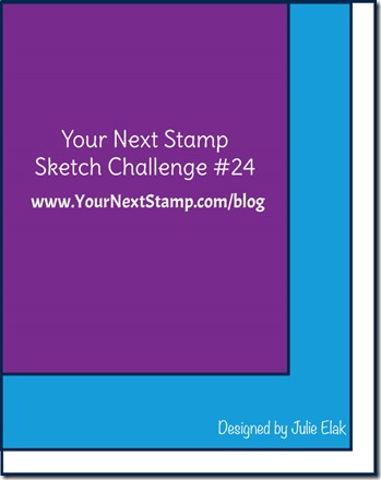 YNSSketch24