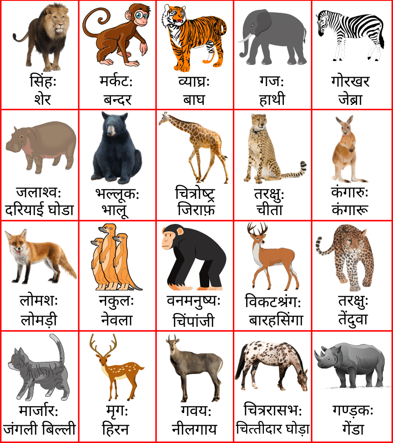 Animals Name in Sanskrit - संस्कृत में जानवरों के नाम [2024]