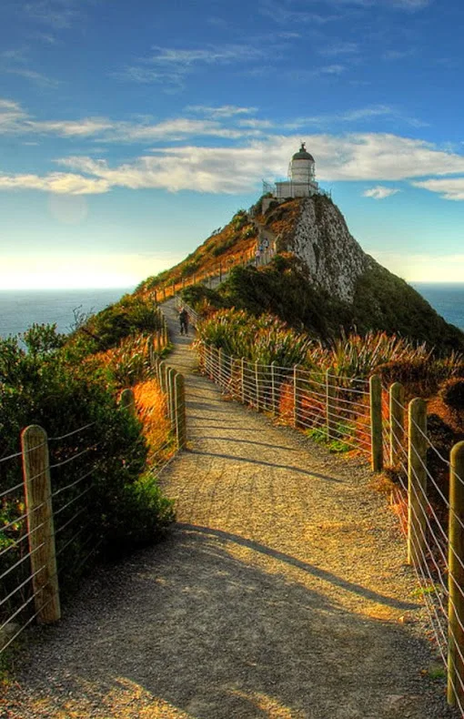 Nugget Point Lighthouse,New Zealand