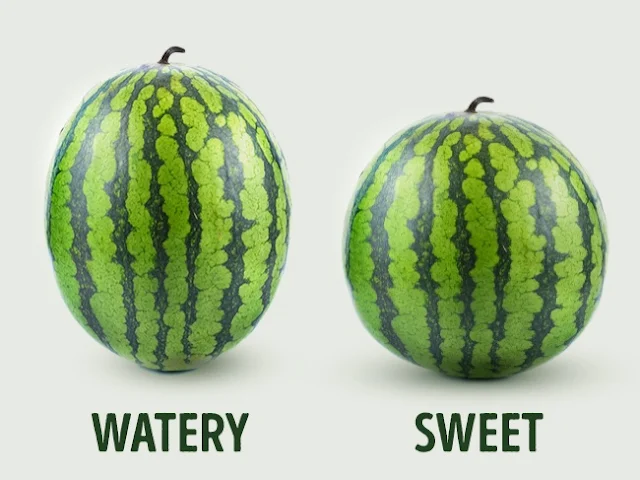 Pick The Best Watermelon