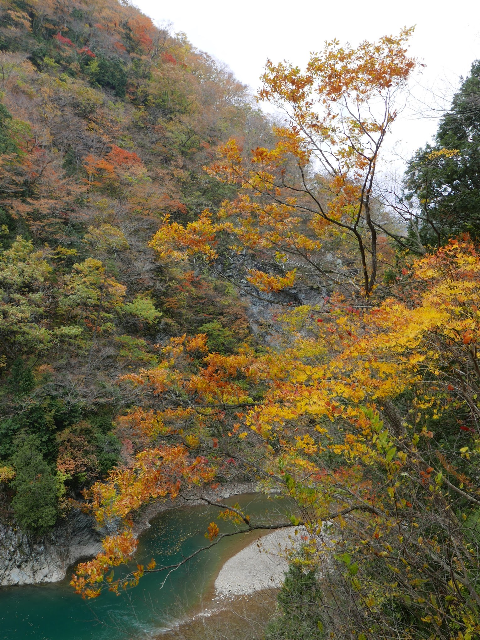 秋田縣仙北市抱返溪谷