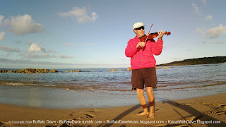 Salt Pond Beach fiddling