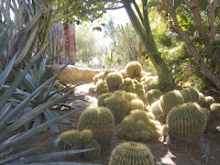 Uc Berkeley Botanical Garden Map