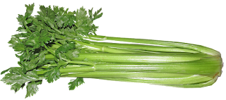 Cara mengobati wajah berminyak dengan seledri ( Daun SOP ) 