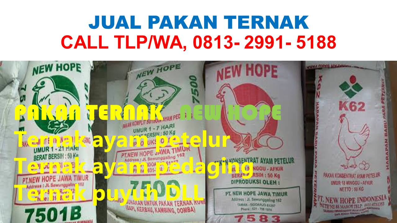 Distributor Pakan Ternak Purwokerto Tlp Sms Wa 0813 2991 5188