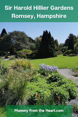 Sir Harold Hillier Gardens in Romsey, Hampshire is great for all the family to explore and has some fun children's activities too