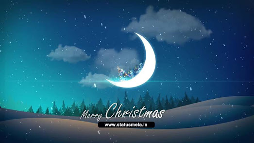 Merry XMAS Greetings Short Video status download