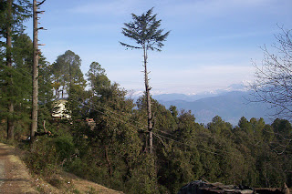 Kausani