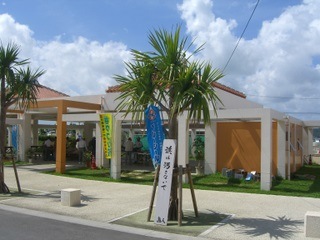 CIMG2495