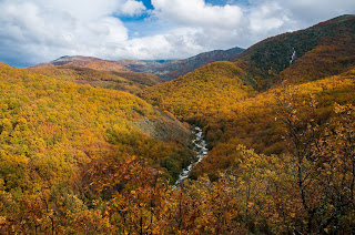 Vista de la Reserva Natural Garganta de los Infiernos