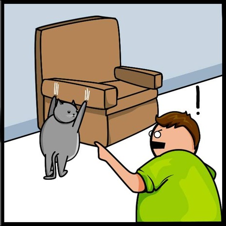 cat vs internet