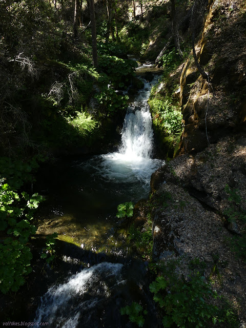 looking upstream to more waterfall